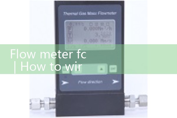 Flow meter fc